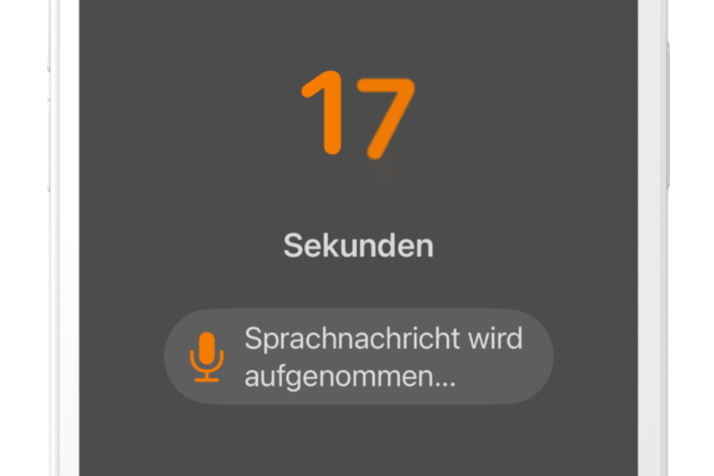 Sprachaufnahme und Transkription